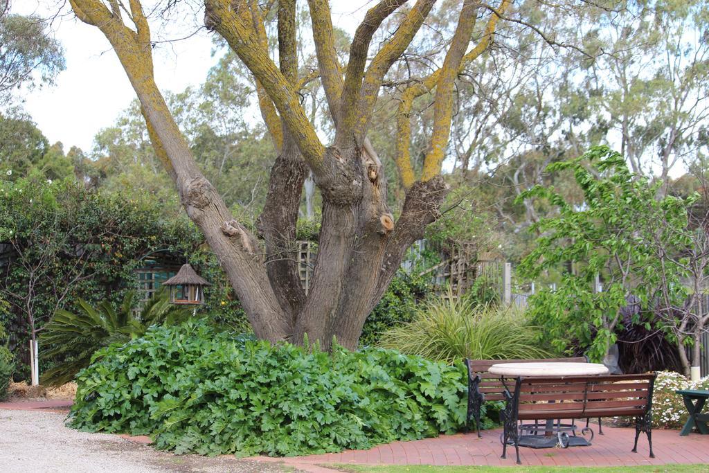 Barossa House Bed and Breakfast Tanunda Rum bild
