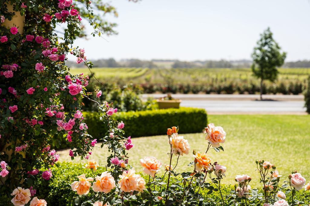 Barossa House Bed and Breakfast Tanunda Exteriör bild