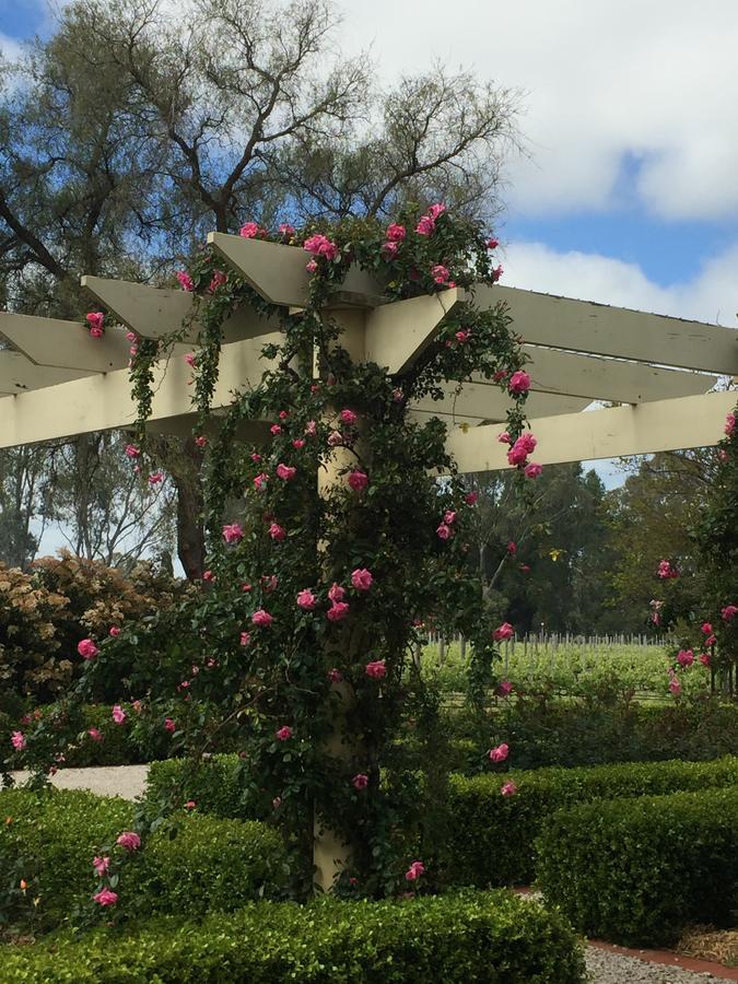 Barossa House Bed and Breakfast Tanunda Exteriör bild
