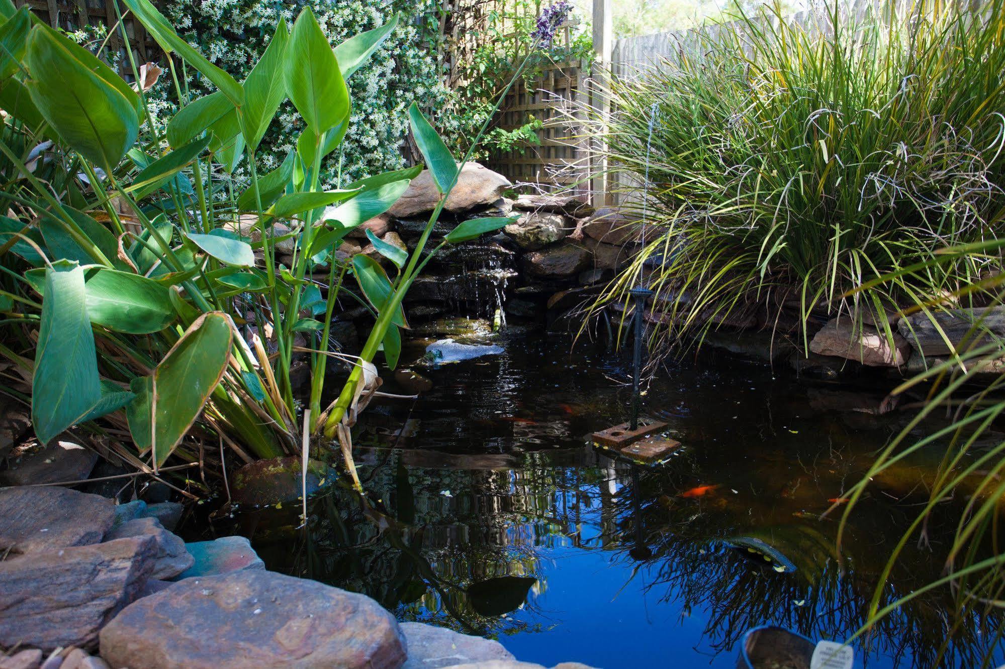 Barossa House Bed and Breakfast Tanunda Exteriör bild